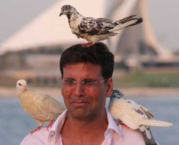 akshay welcome doves on head