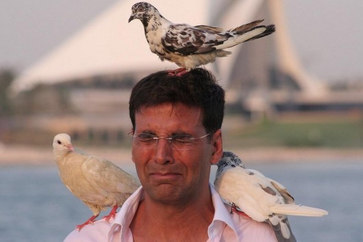 akshay welcome doves on head