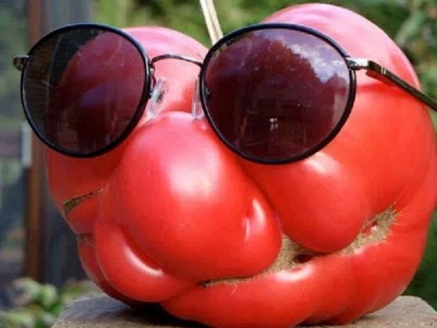 granny tomato jokes