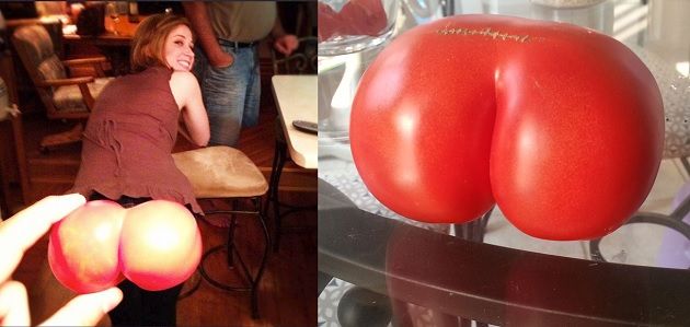 tomato shape