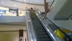 indian hilarious moments escalator