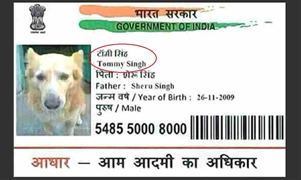 Only In India: Dog Gets Aadhar Card And He Can Now Apply For Government Job