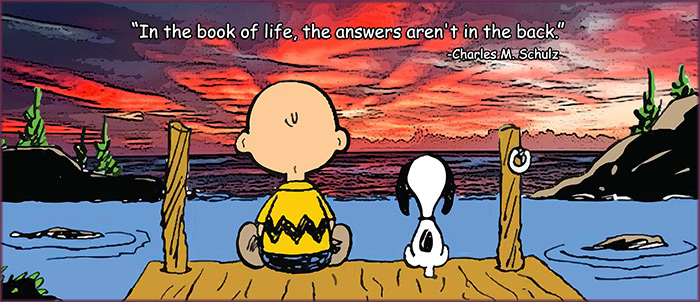 Charles m schulz life quotes