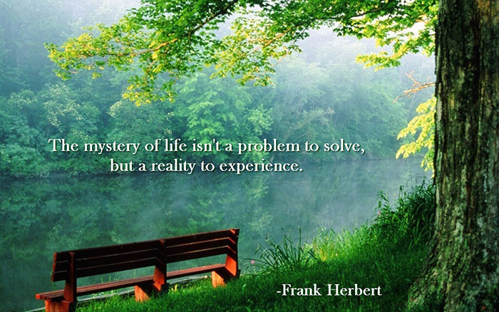 frank Herbert life quotes