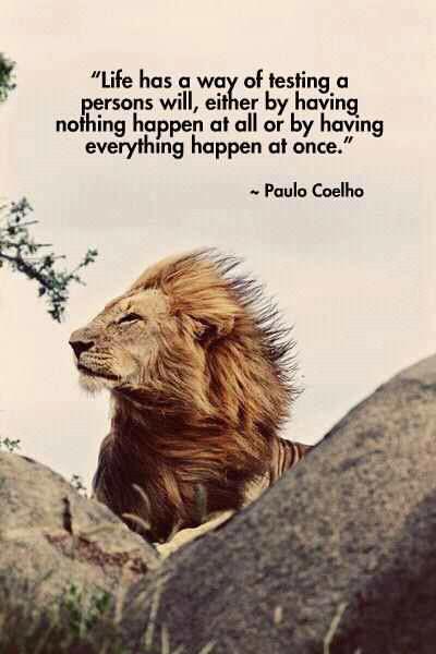 paulo coelho life quotes