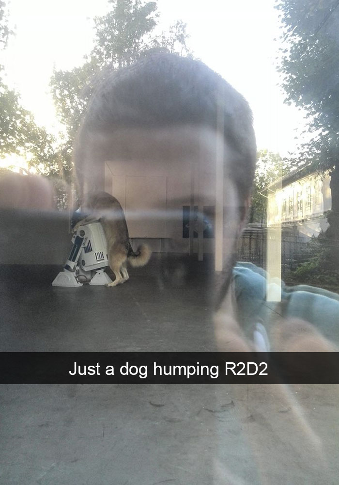 dog ruled snapchat