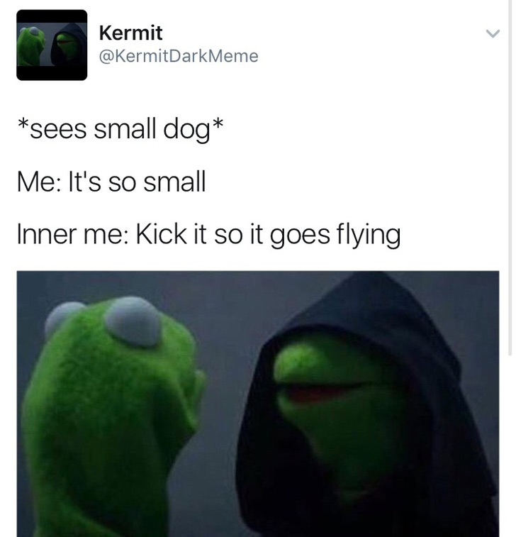 evil kermit memes