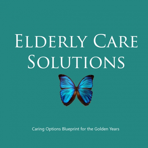 caring for the elderly a reference guide for senior care