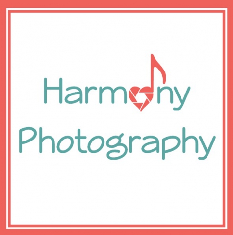 the best gig harbor photographer for your family portrait newborn boudoir and we