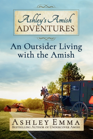 bestselling author ashley emma lives with amish families in maine and writes abo