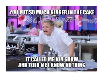 gordon ramsay insults