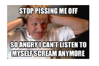 gordon ramsay insults