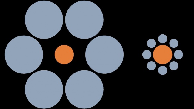Optical Illusions