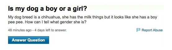 funny Yahoo Questions & Answers