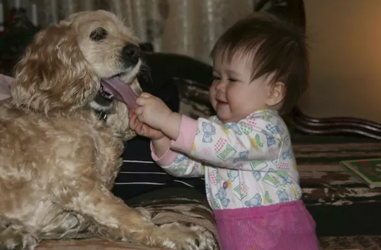 Photos Of Babies