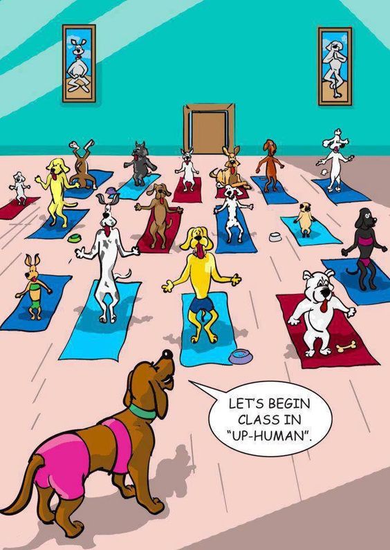 Fitness Cartoons