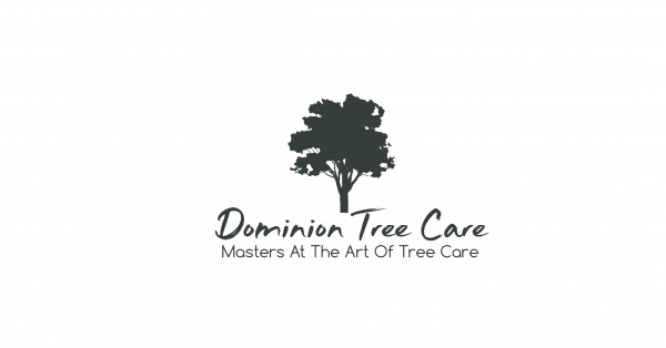 ACT Construction Equipment - Stump Grinders