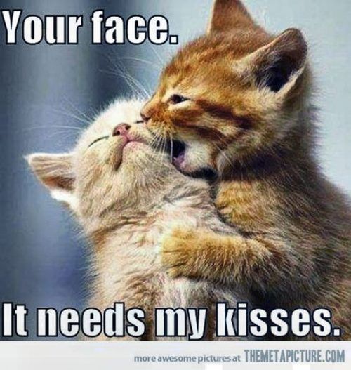 21 Cute Memes That Prove That Kissing Is Great: Mind Your Lips