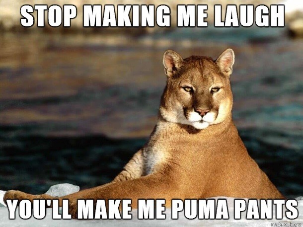 Pun Memes