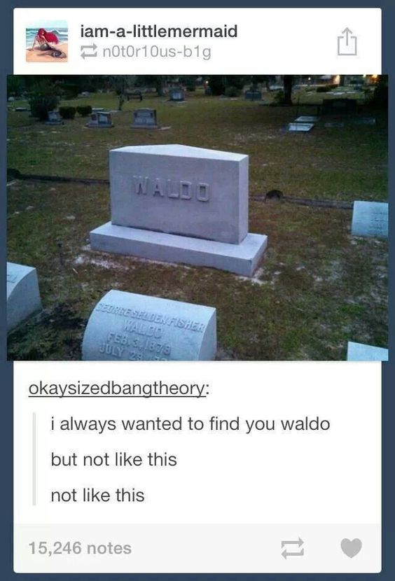 where's waldo wally joke picture meme