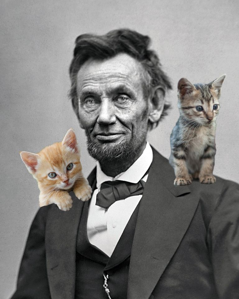 Funny Abraham Lincoln Pictures