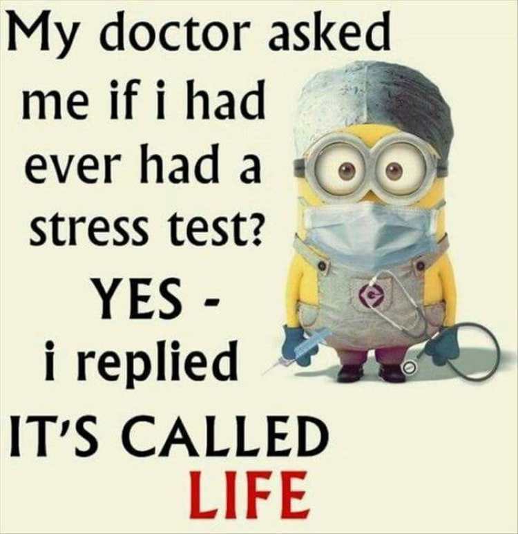 Funny Minion Quotes