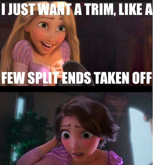 Disney Princess Memes