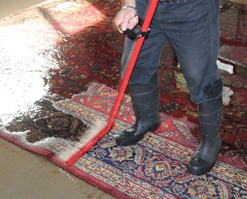 louisville oriental rug cleaning amp restoration firm expands green cleaning sol