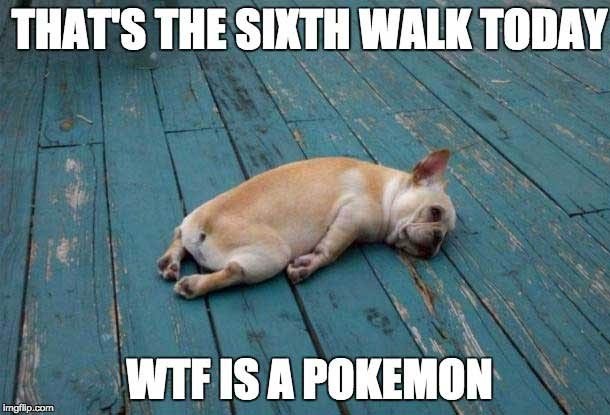 Funny Pokemon Go Memes