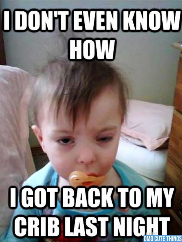 15 Funny Kids Memes That Prove That Babies Are The True Rulers of Our World