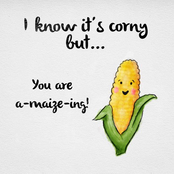 Funny Food Puns