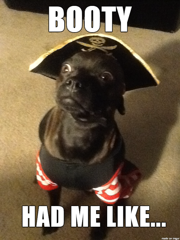 Shared Across the 7 Seas These 33 Hilarious Pirate Memes Will Make You
