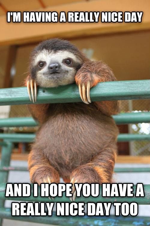 Sloth Memes