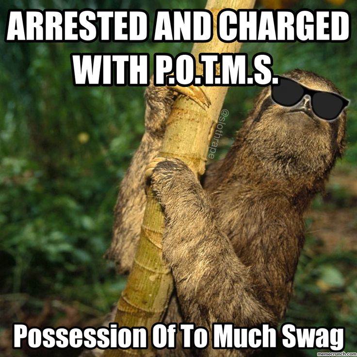 Sloth Memes