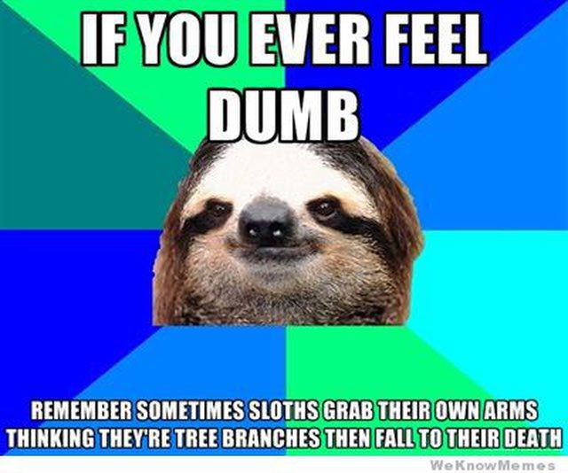 Sloth Memes