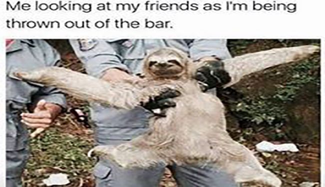 Sloth Memes