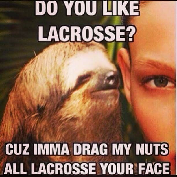 Sloth Memes