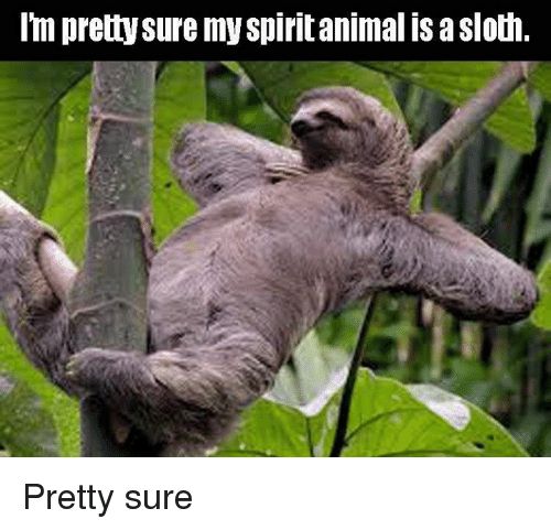 Sloth Memes