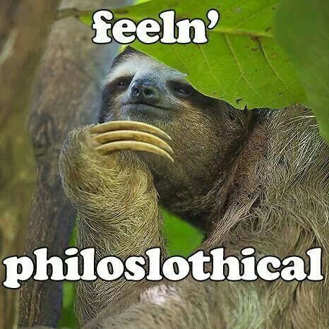 Sloth Memes