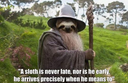 Sloth Memes