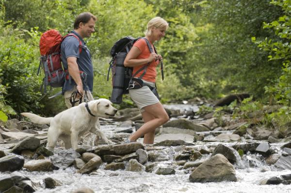 finding dog friendly holiday cottages just got easier with this new service