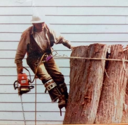 get the best maple valley tree trimming lot clearing services with these license