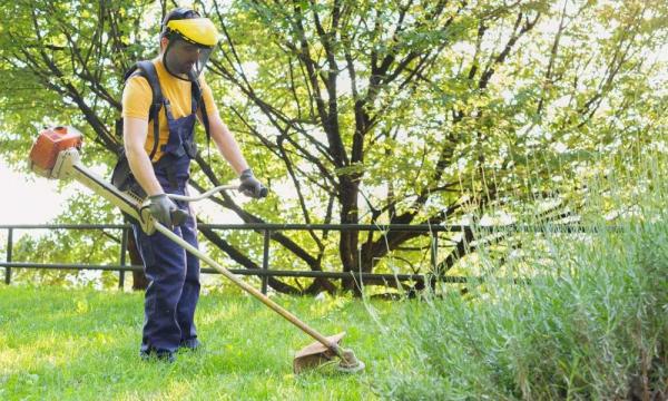 the top 10 weed wackers out there to keep your garden beautiful this spring