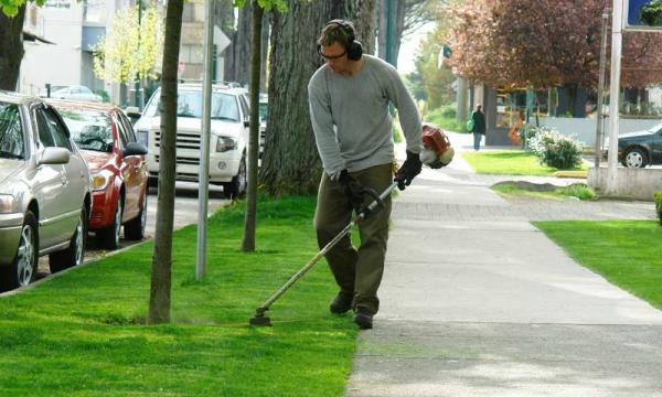 the top 10 weed wackers out there to keep your garden beautiful this spring