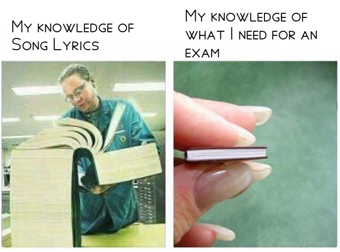 exam memes