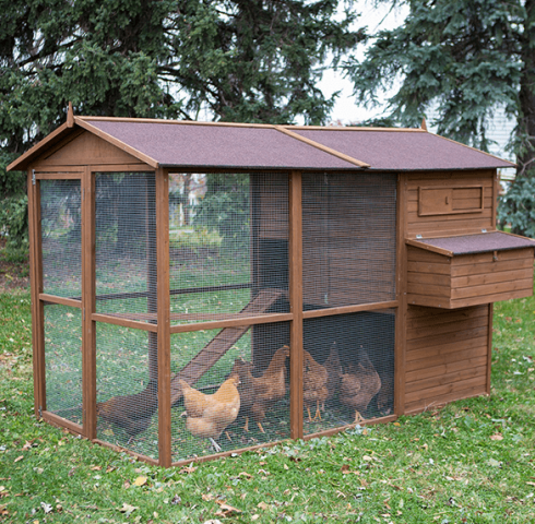 the trixie 2 story rabbit hutch review and comparison to read before buying