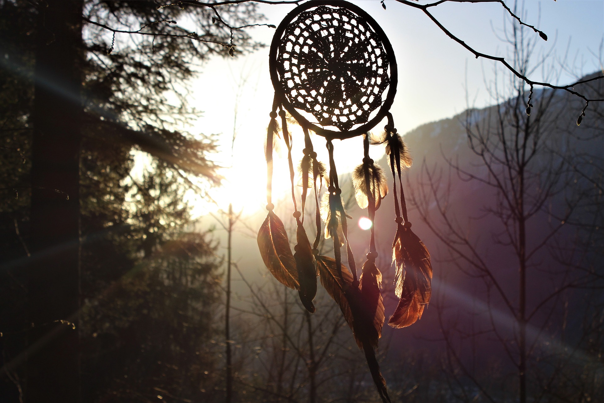 Dream Catcher Quotes