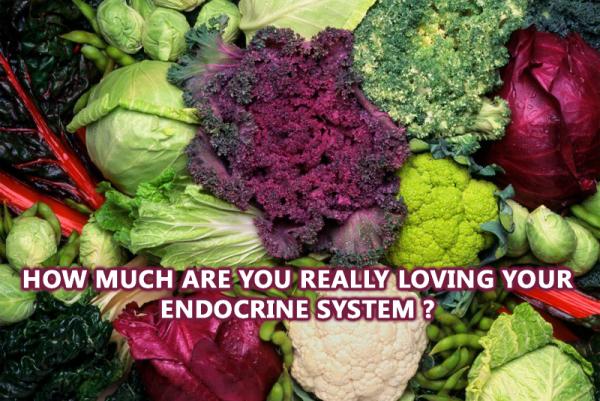 innovative natural wellness endocrine nutrition company in cape town launches fr