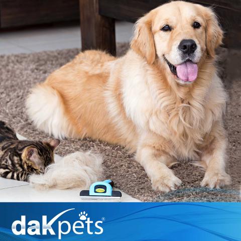 dakpets releases new video guide for their dog deshedding tool