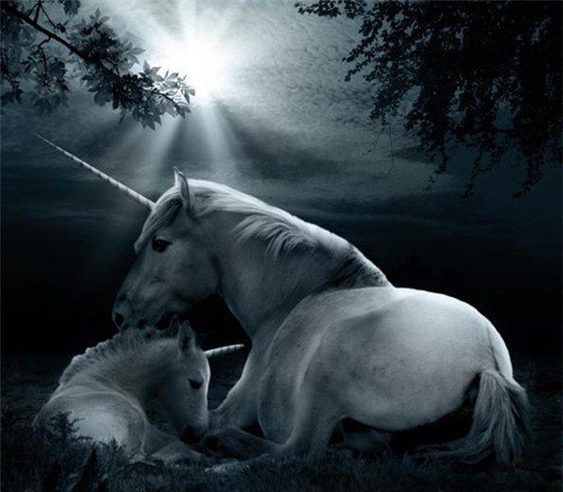 13 Magical Unicorn Pictures That Will Fill You Day With ...